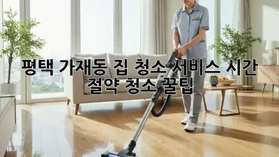 평택 가재동 집 청소 서비스: 시간 절약 청소 꿀팁!
