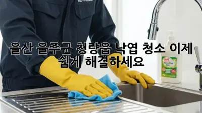울산 울주군 청량읍 낙엽 청소, 이제 쉽게 해결하세요!